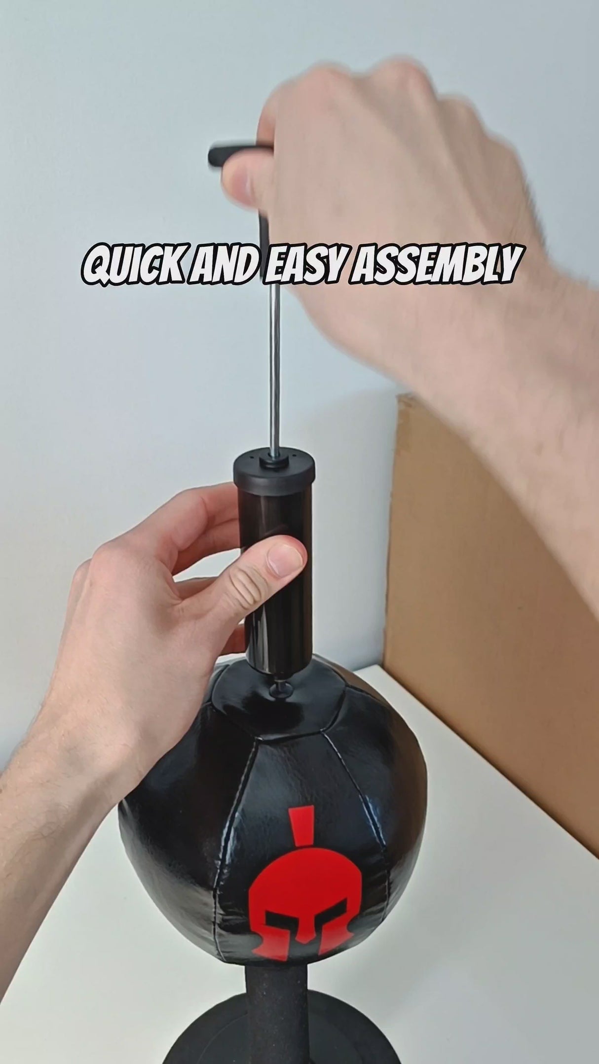 Sparta Punch Bag